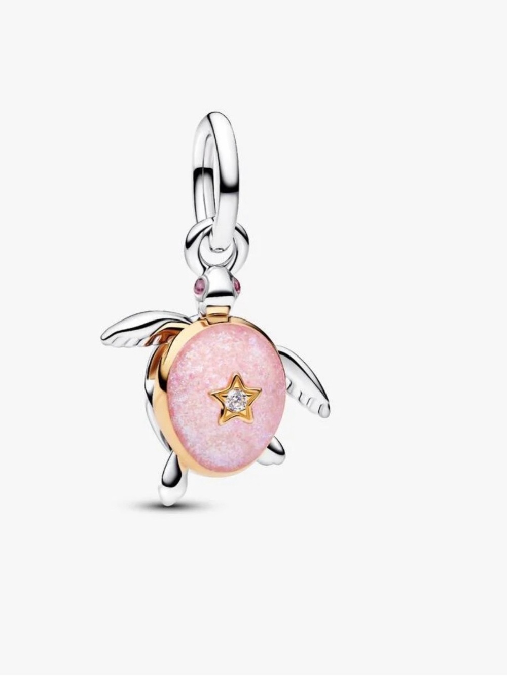 Turtle Charm
